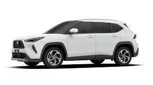 Toyota Branco